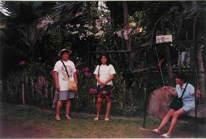 orchid_0001.jpg