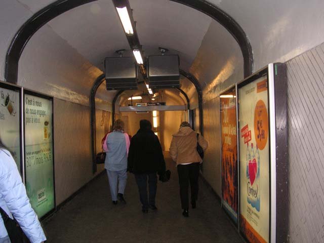 pict0233.jpg